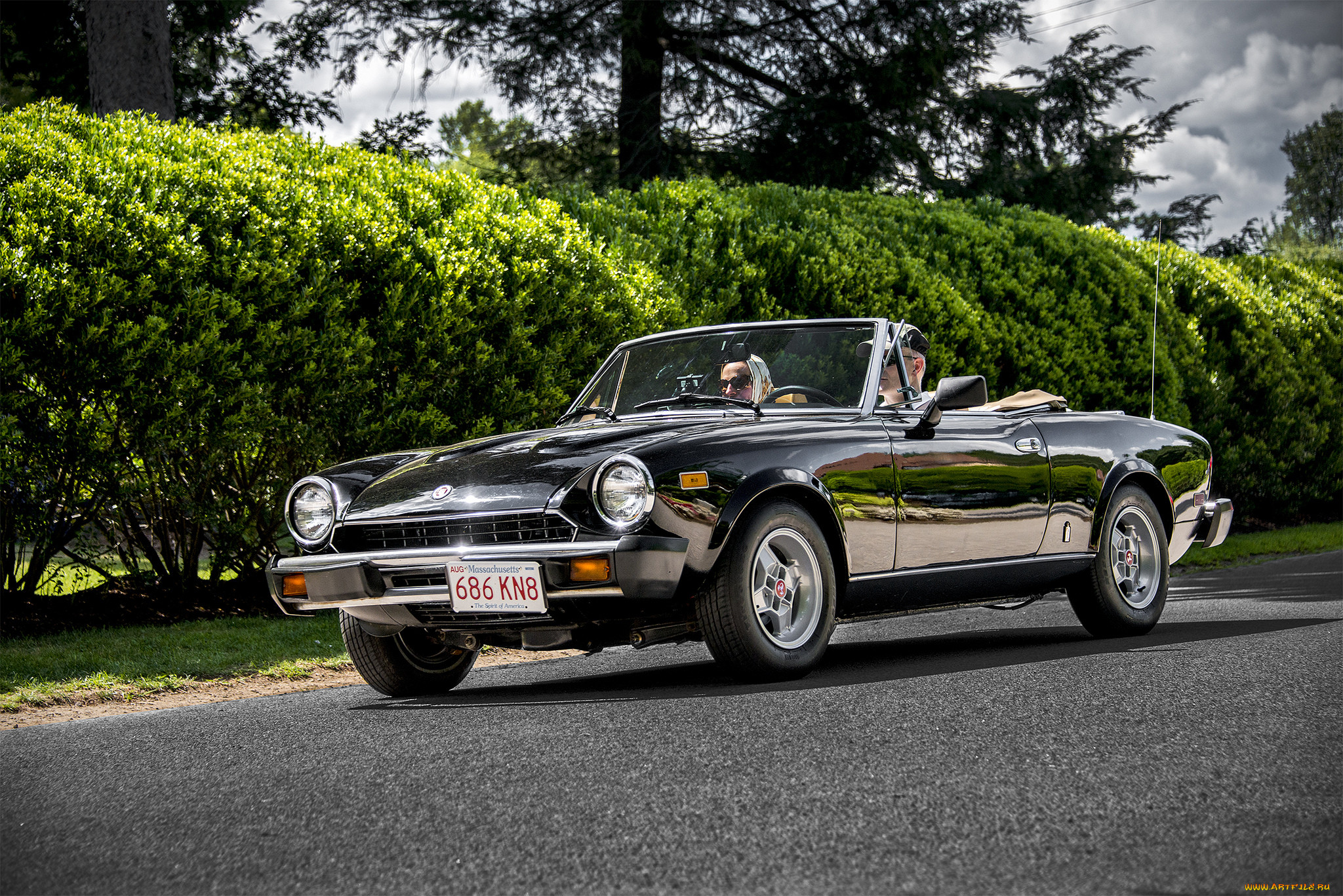fiat spider, , fiat, , , 